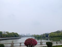 -八大山人梅湖景区