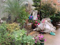 -金陵花卉交易市场