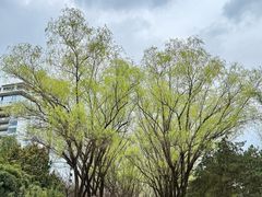 -唐城墙遗址公园