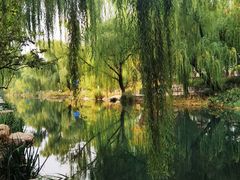 -南长河公园