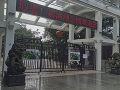 -荔湾湖公园
