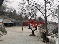 -云龙山