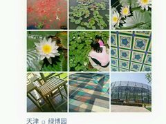 -武清南湖绿博园