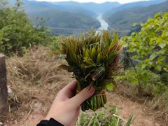 -舒家湾天主教堂