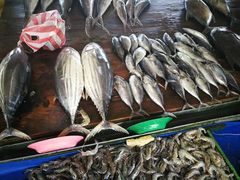 -尼甘布海鲜市场