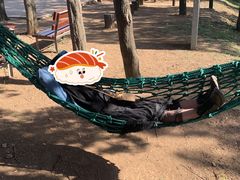 -原山国家森林公园