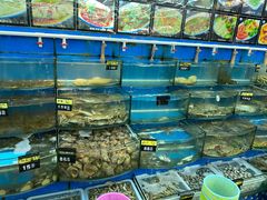 水产区-渔中舟海鲜大排档(普陀沈家门店)