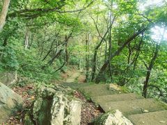 -岣嵝峰国家森林公园