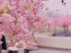 -城市露台景观餐厅(淮海路店)