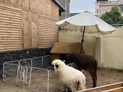 -HERRE·FARM 赫尔露营农场·团建聚会包场