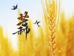 -满兴咱妈烀饼铁锅炖(兰州北街店)