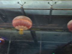 -天兴居(大兴店)