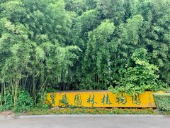 -宝鸡植物园