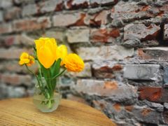 -VOYAGE COFFEE(北锣鼓巷店)