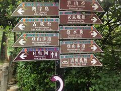 -靖西鹅泉风景区