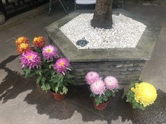 -我嘉书房(南翔名士居店)