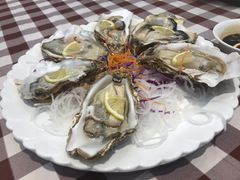 -红星渔村(将军石店)