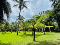 -中国科学院西双版纳热带植物园