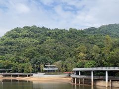 -银湖山郊野公园-相思林