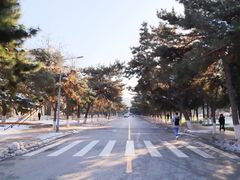 -东北大学(南湖校区)
