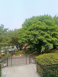 点击看大图 -森宝月子中心(白云山店)