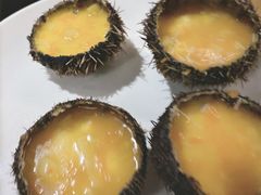 -涛·海底餐厅·美人鱼·自助餐·海底隧道(三亚海棠湾洲际度假酒店)