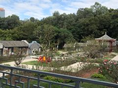 -清湖文化公园