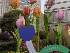 -中海环宇荟