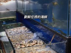 -苏格里岛自助海鲜烤肉(青秀万达店)