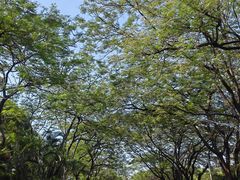 -烈士陵园(地铁站)