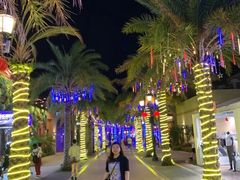 -三亚海昌梦幻海洋不夜城