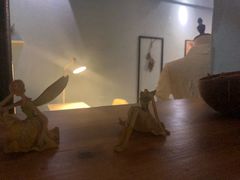 -琥珀川咖啡馆·Amber cafe(百祥路店)