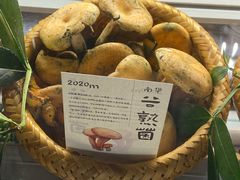 -滇野云南野生菌餐厅(陕西南路店)