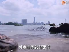 -海沧湾公园