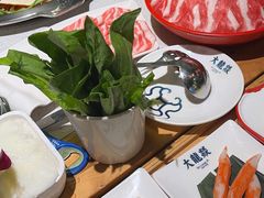 -大龙燚火锅