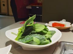 -海底捞火锅(奥森店)