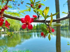 -石家庄市植物园