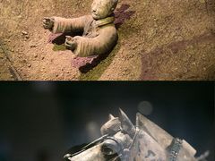 -秦始皇帝陵博物院-丽山园