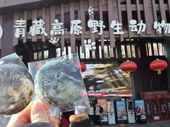 -青藏高原野生动物园