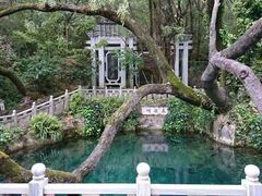 -蝴蝶泉公园