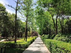 -唐城墙遗址公园