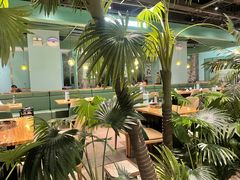 -春润大地海南椰子鸡(沙井京基百纳广场店)