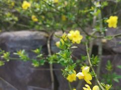 -CoCo都可(官林大梦想城店)