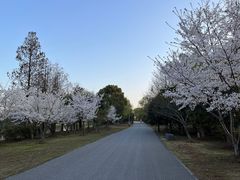-石湖景区