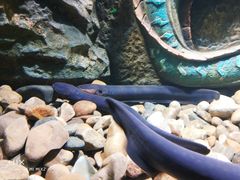 -波塞冬旅游度假区