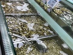 -盒马渔市餐厅