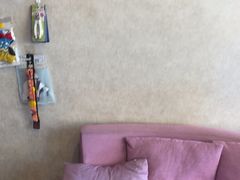 -宠爱国际动物医院·疑难骨科·心肾内科·皮肤科(太阳宫店)