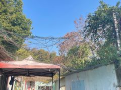 -东湖小天池真人CS彩弹野战基地