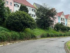 -大塘金香草谷
