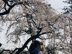 -京都御所